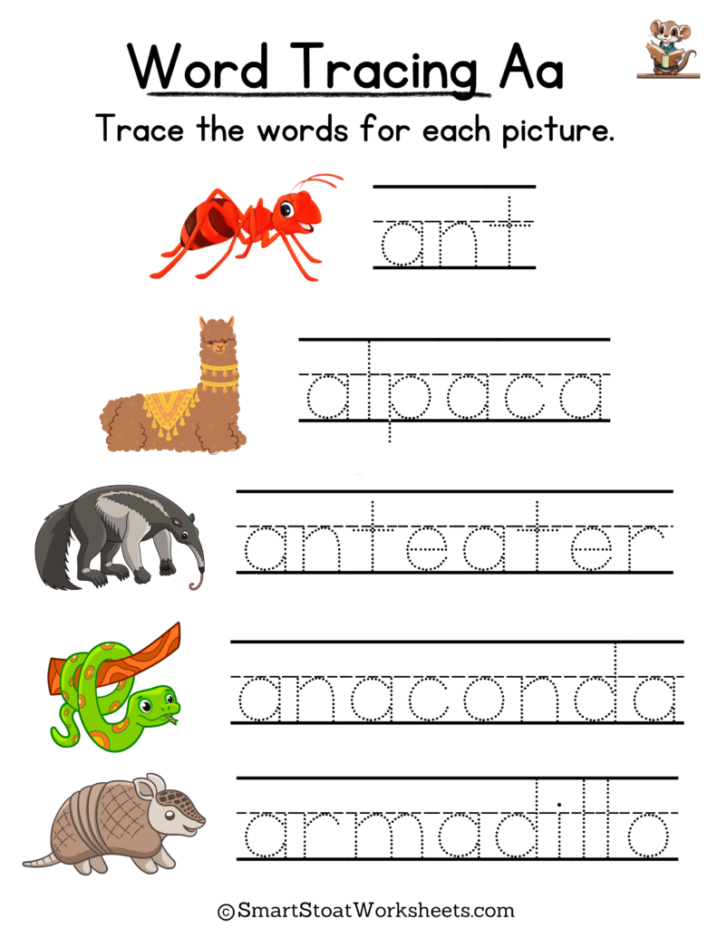 Tracing Words Worksheet for Kindergarten preschool, and nursery. Words with A.