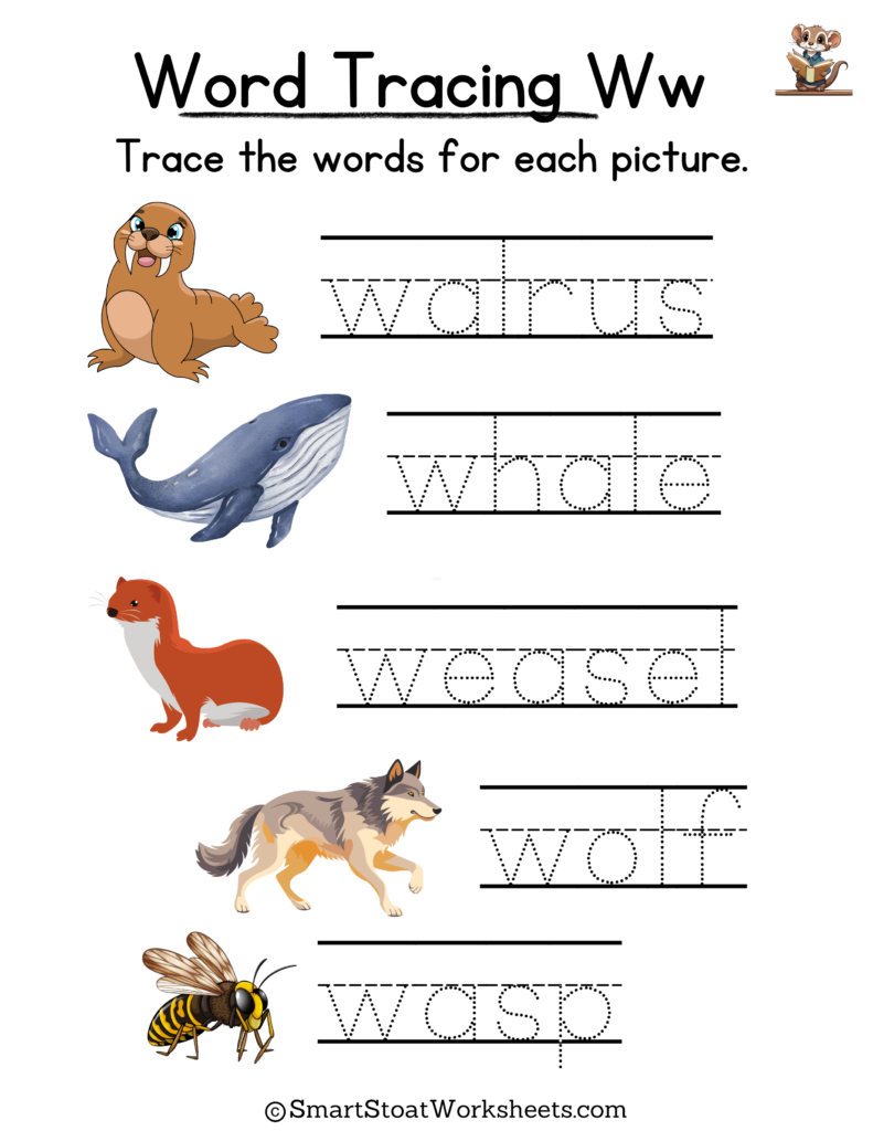 Tracing Words Worksheet for Kindergarten preschool, and nursery. Words with W