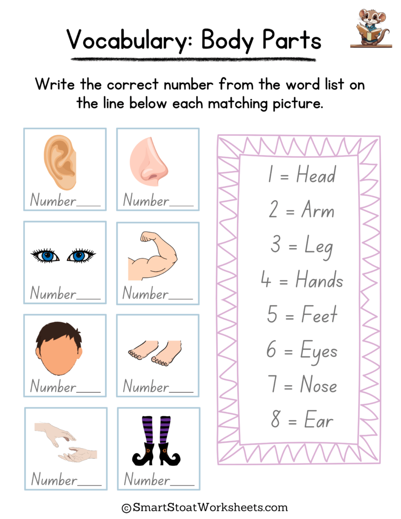 body parts vocabulary worksheet