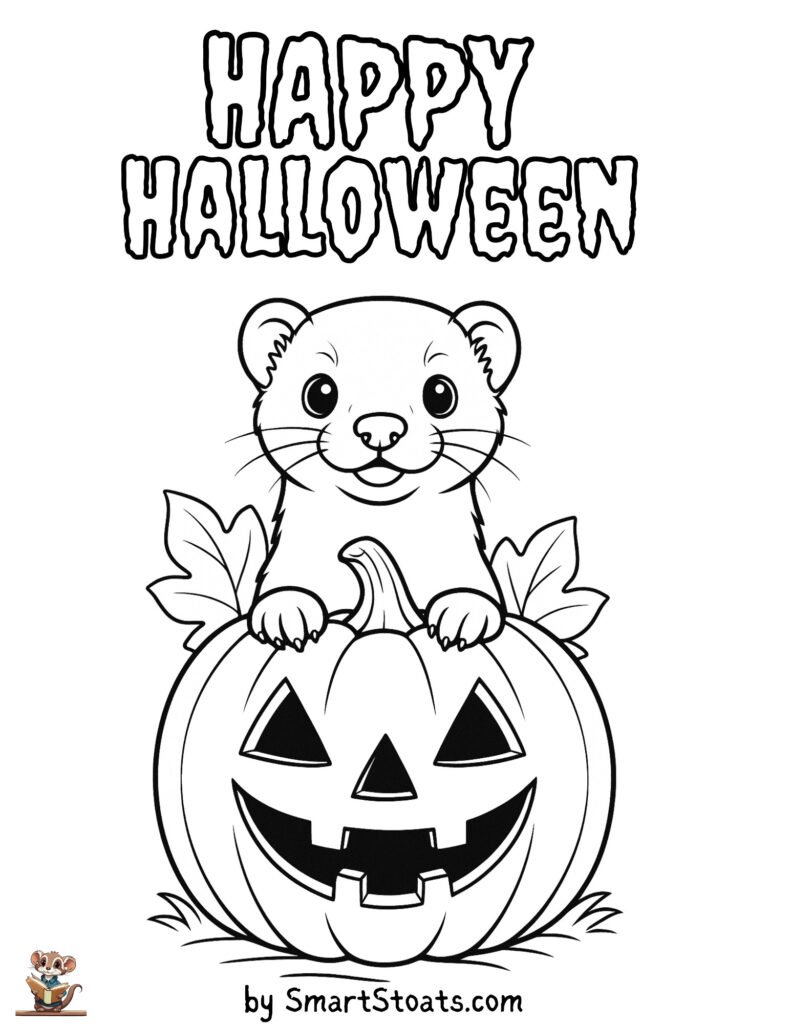 Printable Halloween coloring page featuring a cute ferret peeking out of a carved jack-o'-lantern.