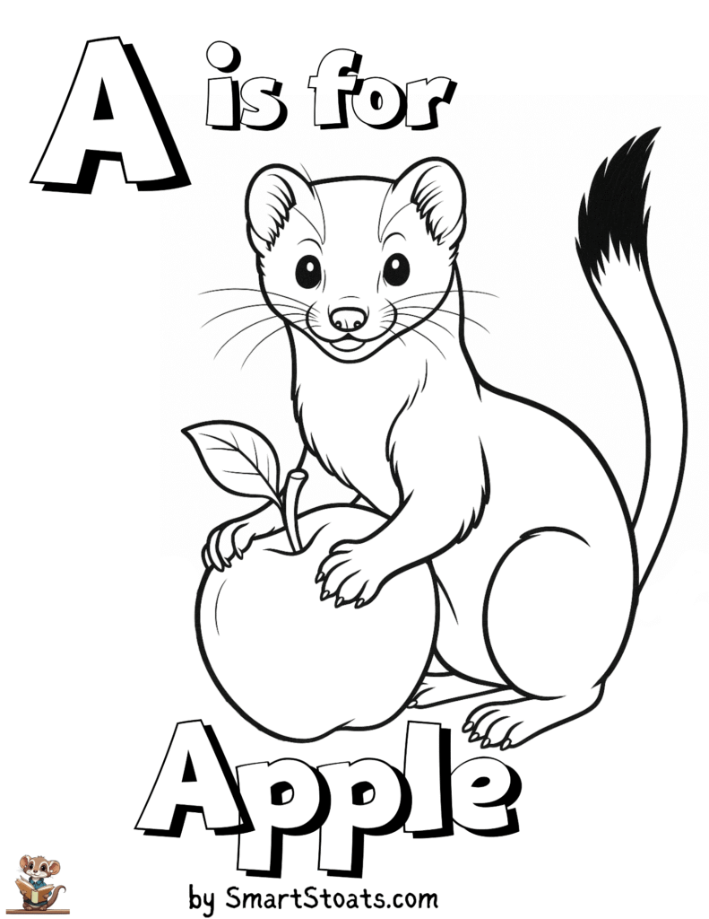 Coloring page with letter A – stoat with an apple, fun alphabet-themed printable for kids.